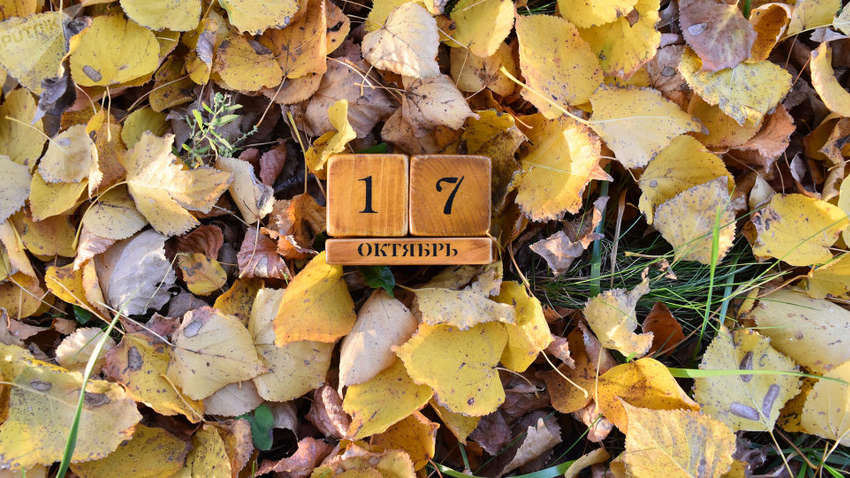 Каким будет 17 октября: ТОП событий сегодняшнего дня