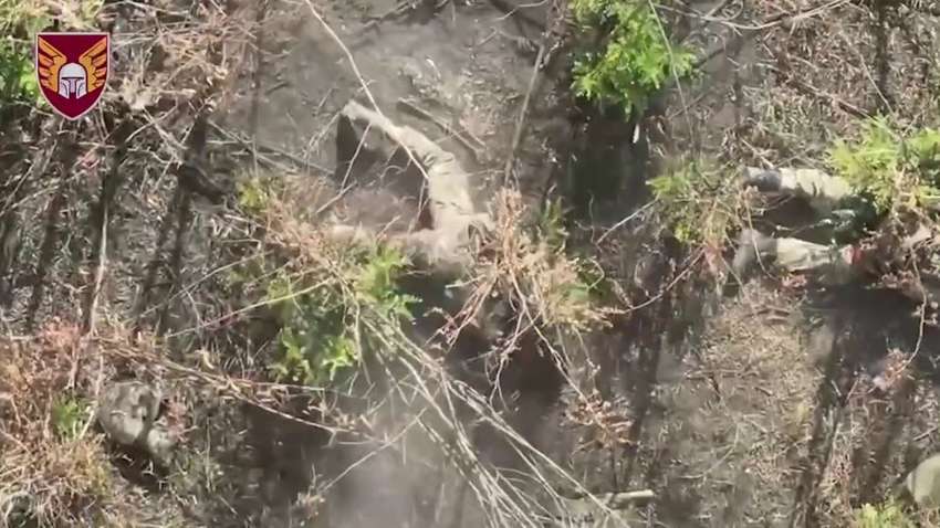 Рота з танками, БТР та БМП була розбита українськими військовими на Донеччині (ВІДЕО)