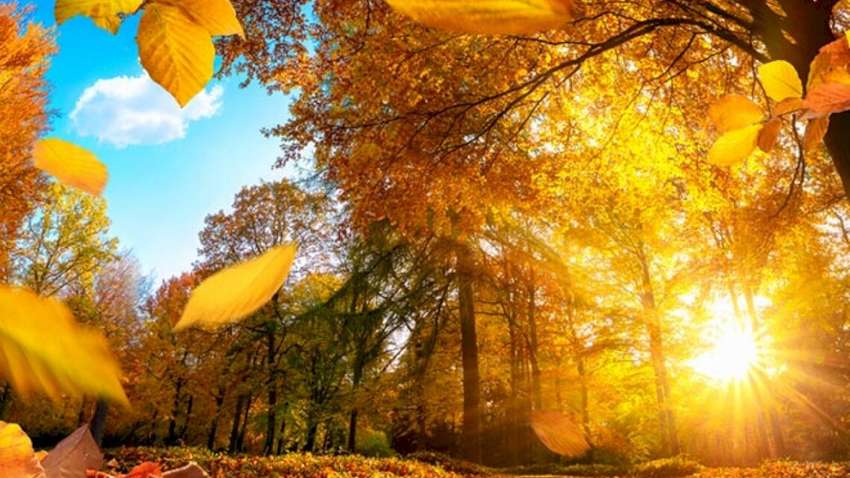 В Україну йде суттєве потепління: синоптики розповіли, коли і де зміниться погода В Україну йде суттєве потепління: синоптики розповіли, коли і де зміниться погода