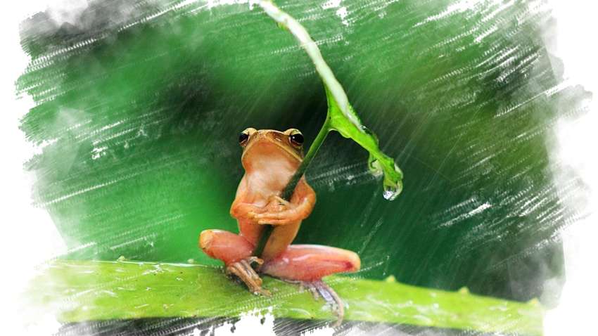 Синоптики розповіли, коли вся Україна опиниться під куполом циклону (карта)