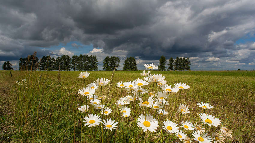 Синоптики розповіли про те, якою буде погода в середу