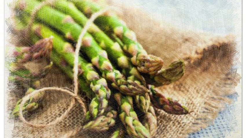 Меню для печени: какие продукты стоит добавить в рацион Меню для печени: какие продукты стоит добавить в рацион