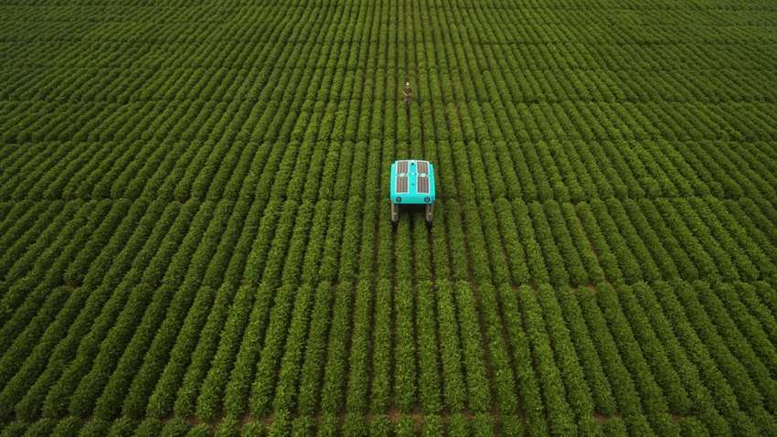 Материнська компанія Google розробила унікальних роботів для фермерів