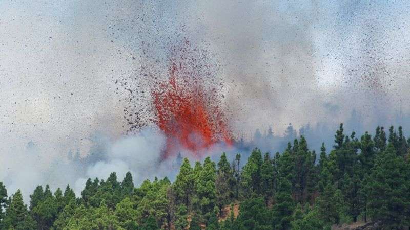 Виверження вулкана на Канарах: лава знищує будинки (ВІДЕО) Виверження вулкана на Канарах: лава знищує будинки (ВІДЕО)