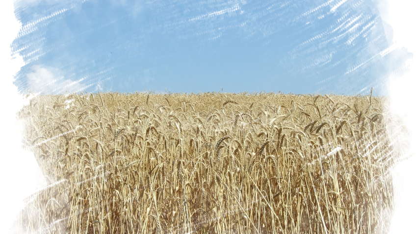 Погода в Украине: украинцев ждет резкое похолодание