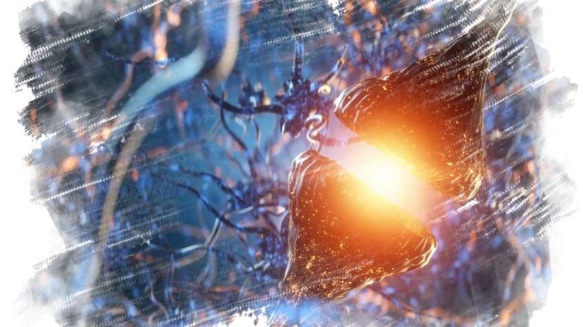 В лечении болезни Альцгеймера может помочь гормон любви В лечении болезни Альцгеймера может помочь гормон любви