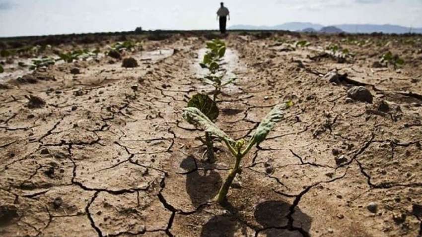 Вчені назвали головну небезпеку зміни клімату Вчені назвали головну небезпеку зміни клімату