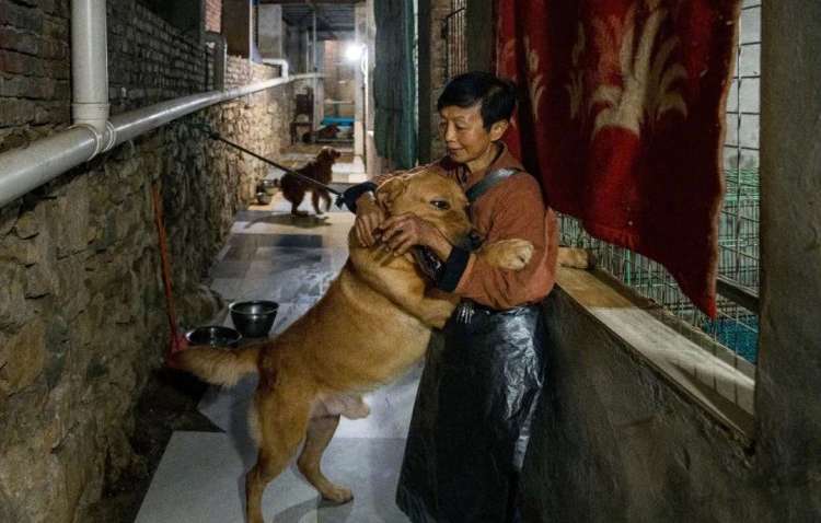 Женщина из Китая поселила в своем доме почти 1500 разных животных (ФОТО, ВИДЕО) Женщина из Китая поселила в своем доме почти 1500 разных животных (ФОТО, ВИДЕО)