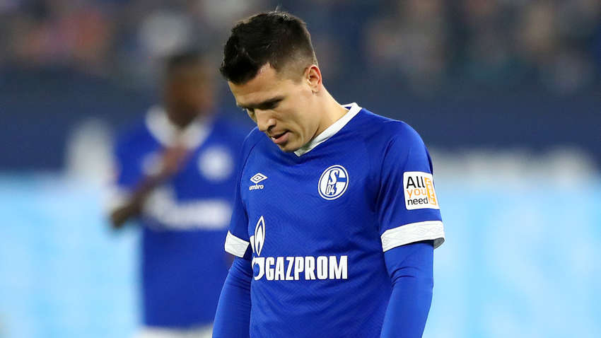 Коноплянка може повернутися в Україну