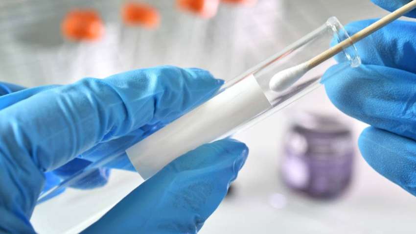 Молдова ответила на обвинение России о транспортировке биологических образцов из Украины