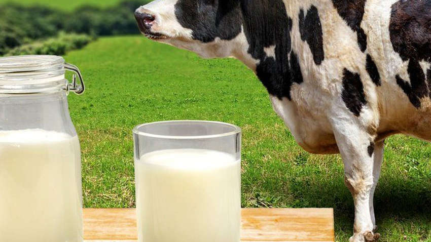 Лікар розвінчала міфи про лактози