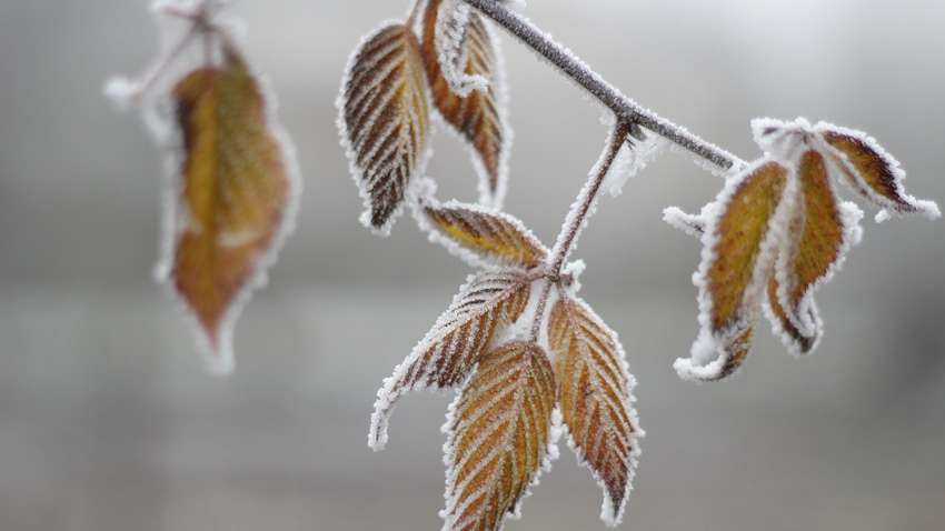В Украину идет антициклон с сильными морозами: синоптики рассказали, где будет холоднее всего В Украину идет антициклон с сильными морозами: синоптики рассказали, где будет холоднее всего