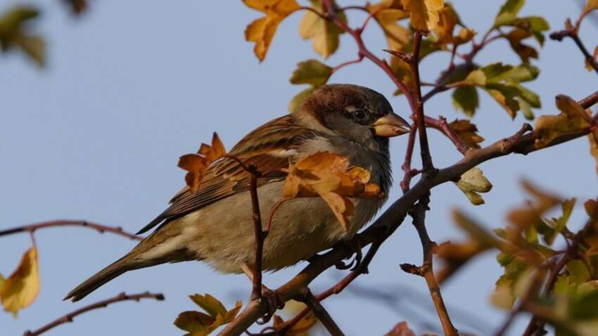 Какой церковный праздник 10 ноября: что нельзя делать в день шести апостолов