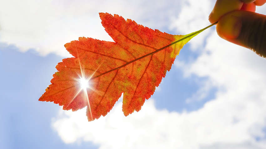 Когда в Украине потеплеет: синоптик озвучила прогноз Когда в Украине потеплеет: синоптик озвучила прогноз