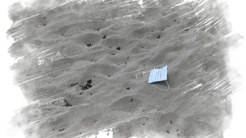 Последствия пандемии: как коронавирус ударил по экологии