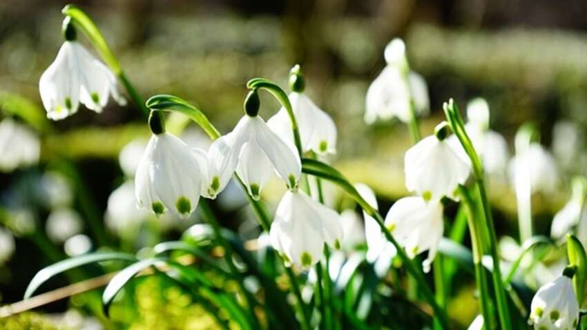 Церковный праздник 23 апреля: особые обычаи и запреты дня