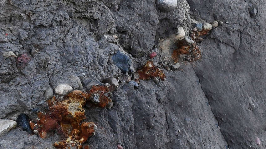 Рада предварительно одобрила «янтарный» закон