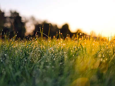 Яке церковне свято 7 серпня: головні заборони та повір'я у цей день Яке церковне свято 7 серпня: головні заборони та повір'я у цей день