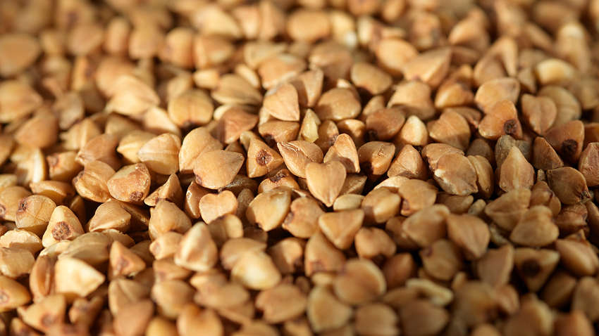 Гречка залишається в Україні, серби - по домівках: новини, які ви могли пропустити