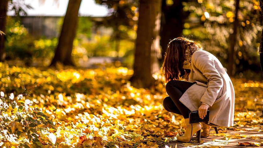 Десять способів пережити осінь без шкоди для здоров'я і настрою Десять способів пережити осінь без шкоди для здоров'я і настрою
