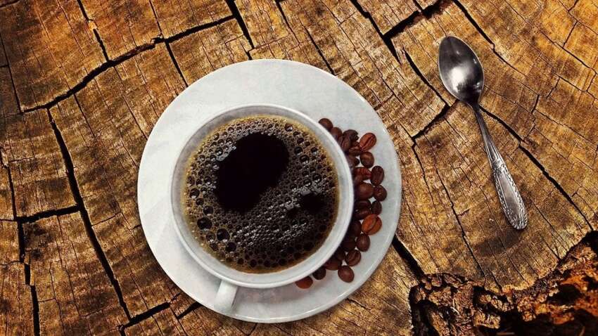 Лишь одна ложка кофе поможет забыть о еде на 6 часов: поразительное открытие Лишь одна ложка кофе поможет забыть о еде на 6 часов: поразительное открытие