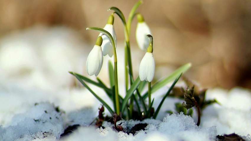 В Україну повертаються холод і сніг
