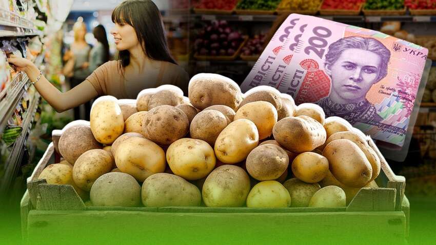 Какие овощи этой зимой будут дешевле, чем в прошлом году: НБУ обновил прогноз
