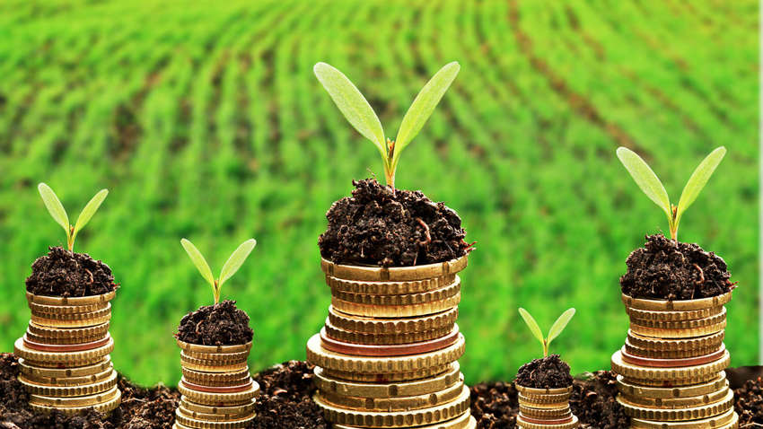 Поддержка в 14 миллиардов гривен: госпрограмма доступного кредитования аграриев набирает обороты