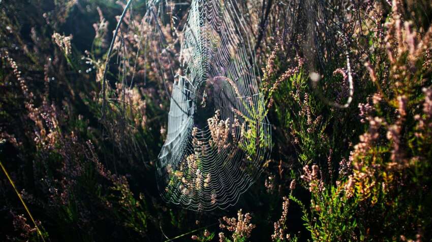 Какой церковный праздник 20 октября: что категорически запрещено в этот день