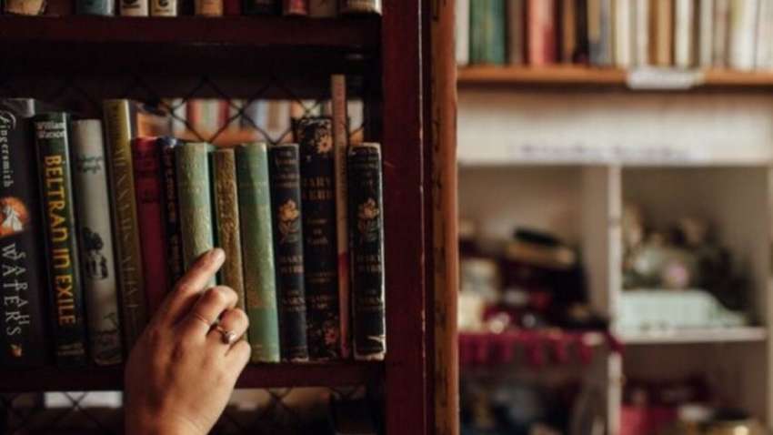 В Турции создали грандиозную библиотеку из выброшенных книг