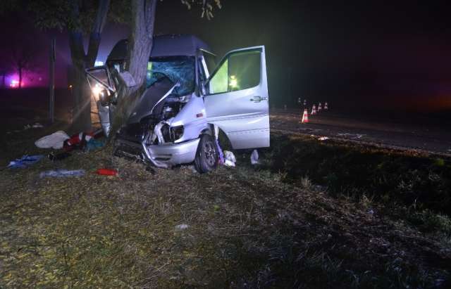 В Угорщині автобус з українцями врізався в дерево: 10 постраждалих