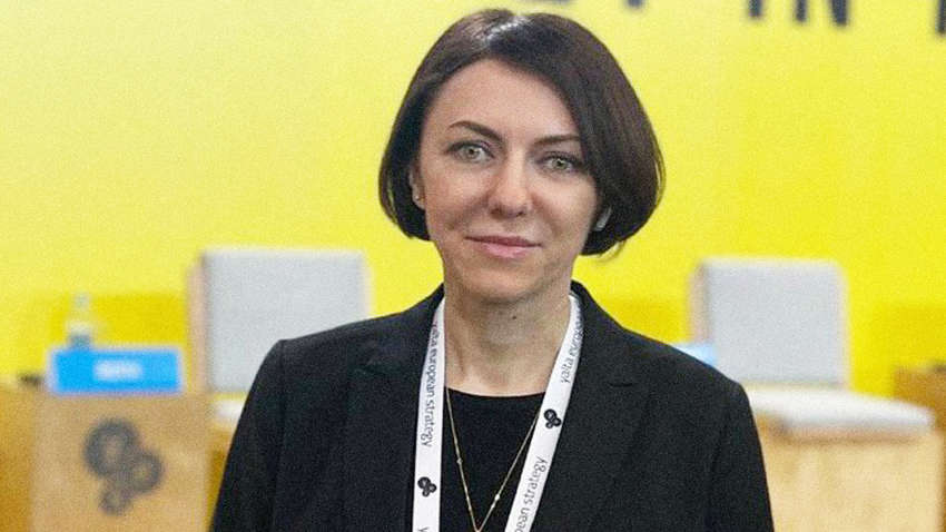 Наказание несоразмерно преступлению: юрист беспощадно раскритиковала скандальный закон о дровах