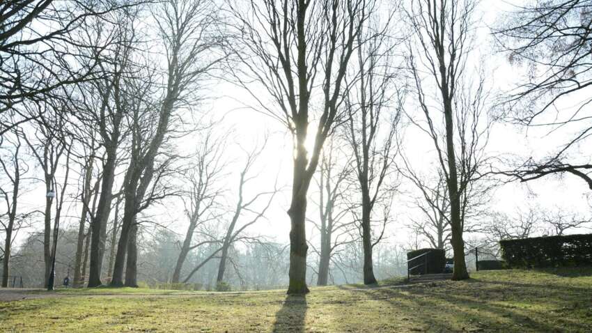Церковный праздник 9 марта: что нельзя делать, чтобы не спугнуть удачу