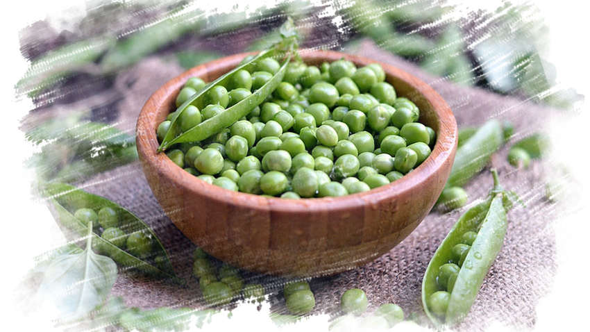 Врач рассказал об удивительных свойствах гороха Врач рассказал об удивительных свойствах гороха