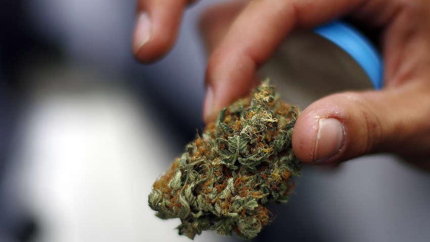 Ученые предупредили о влиянии марихуаны на еще нерожденных детей 