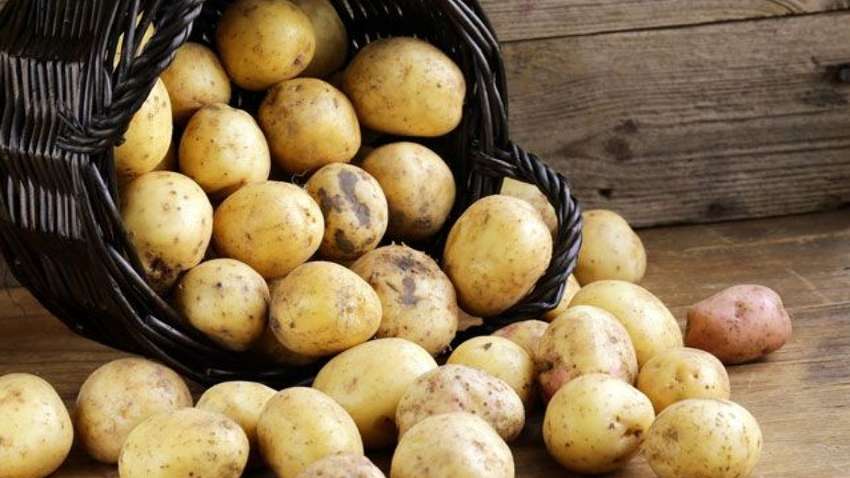 В Украину ввезли рекордные объемы импортного картофеля: как изменились цены