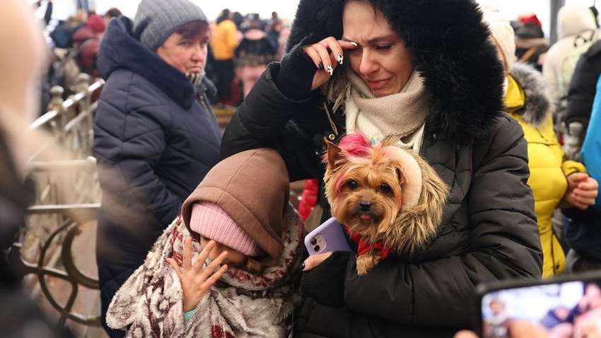 Скільки біженців планують повернутись до України: нові результати опитування