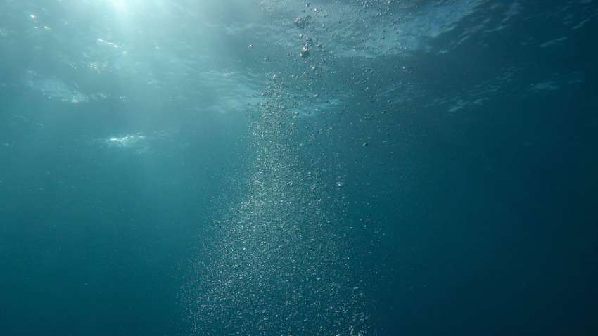 Шок: в океане обнаружено загадочное многометровое существо (ВИДЕО) Шок: в океане обнаружено загадочное многометровое существо (ВИДЕО)