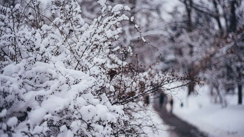 Чого чекати від зими 2025 – 2026: прогноз синоптиків здивує кожного українця Чого чекати від зими 2025 – 2026: прогноз синоптиків здивує кожного українця