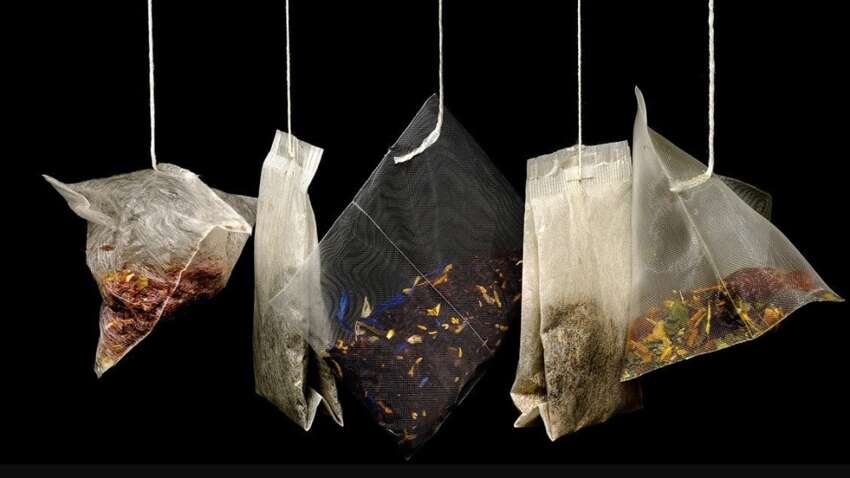 Большинство делает это неправильно: почему категорически нельзя отжимать чай Большинство делает это неправильно: почему категорически нельзя отжимать чай