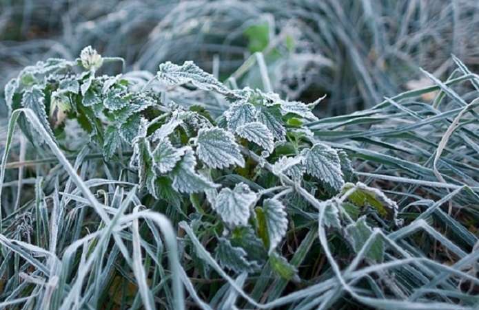 Где на выходных испортится погода: прогноз синоптика Где на выходных испортится погода: прогноз синоптика