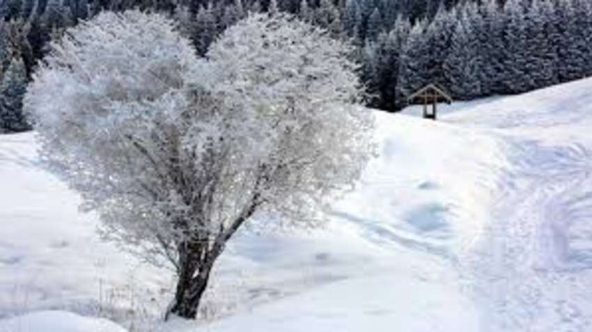 Стало известно, какая погода будет на Сочельник и Рождество: готовьтесь к морозу!