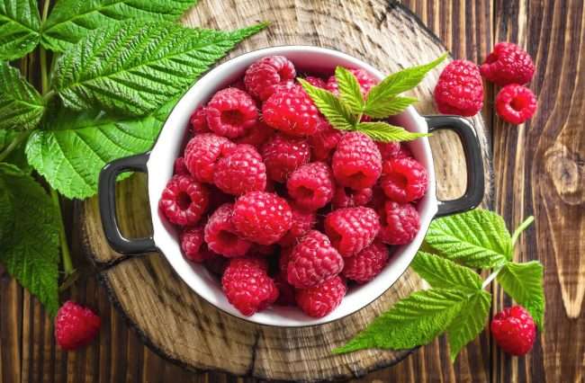 Лікарі попередили про шкідливі властивості малини