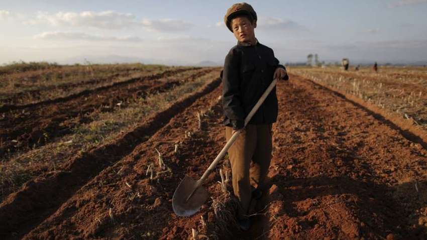 Засуха в Северной Корее: в стране заявили о серьезных убытках