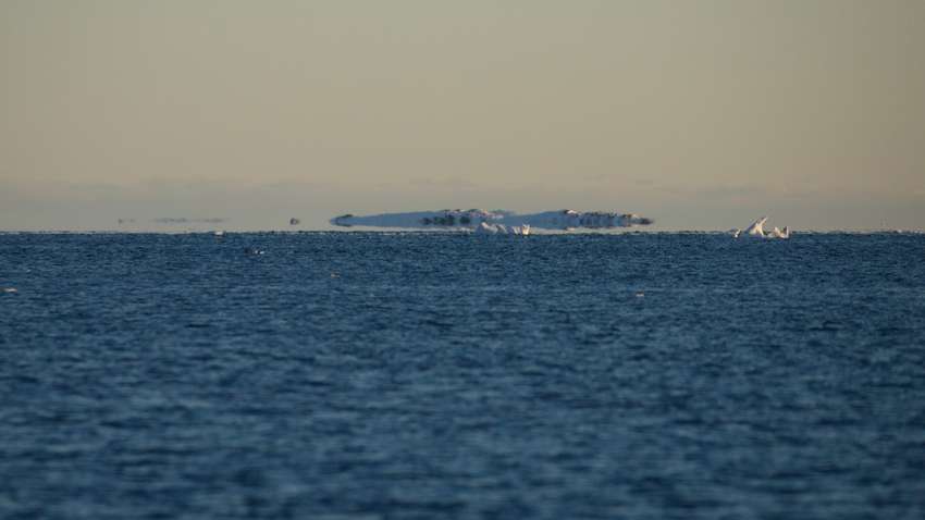 Айсберги над океаном: украинские полярники стали очевидцами уникального явления в Антарктиде