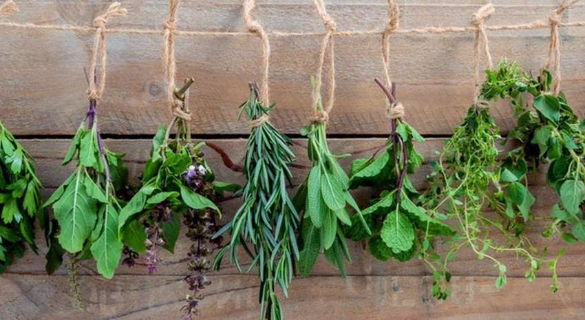 Коли святкуємо Трійцю у 2024 році: дата 