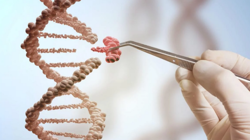 Вчені успішно випробували на людях «ліки проти старості»