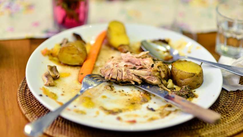 В Чехии за остатки еды на тарелке начали штрафовать