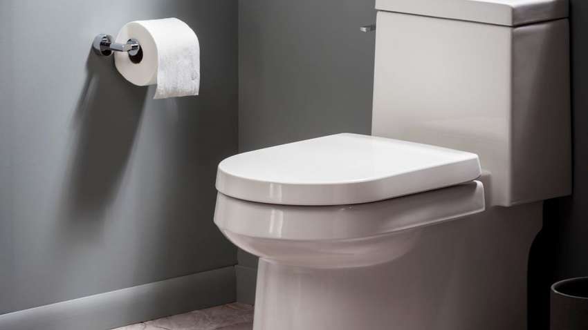 Скоро на рынке появятся туалеты со встроенной диагностикой здоровья