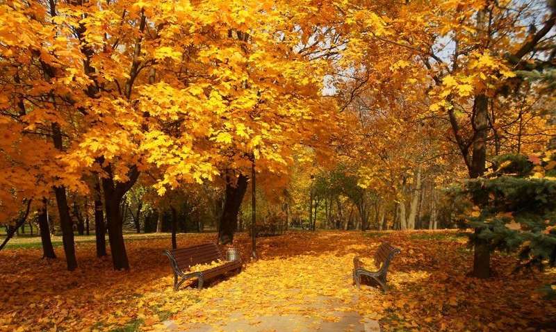 Україну чекає тепло і дощі